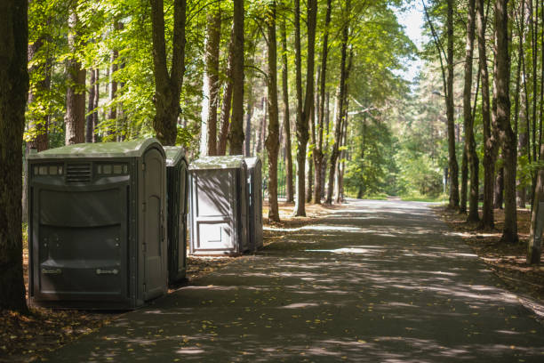Trusted Mansfield Center, MA porta potty rental Experts